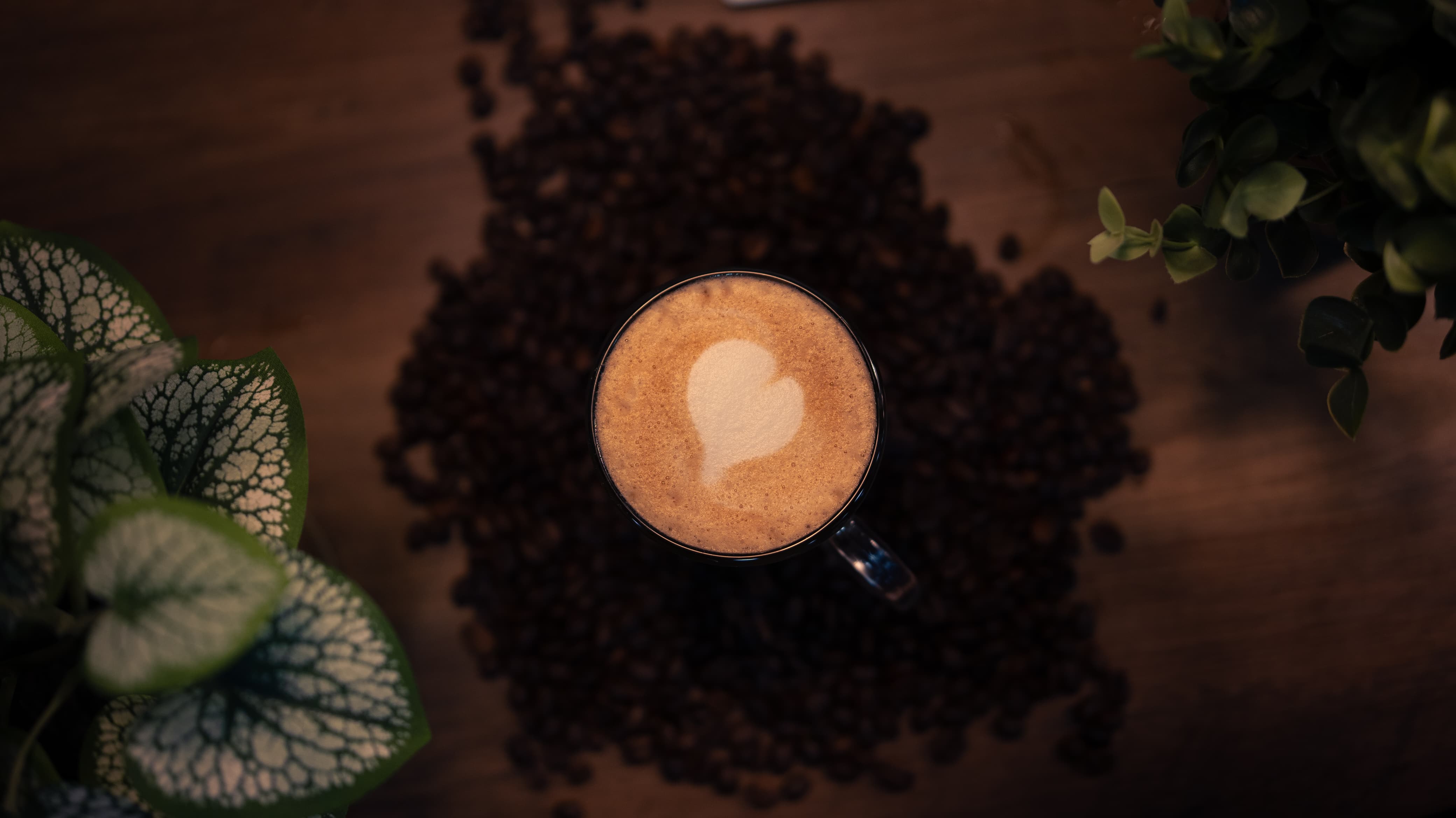 Cup of specialty coffee