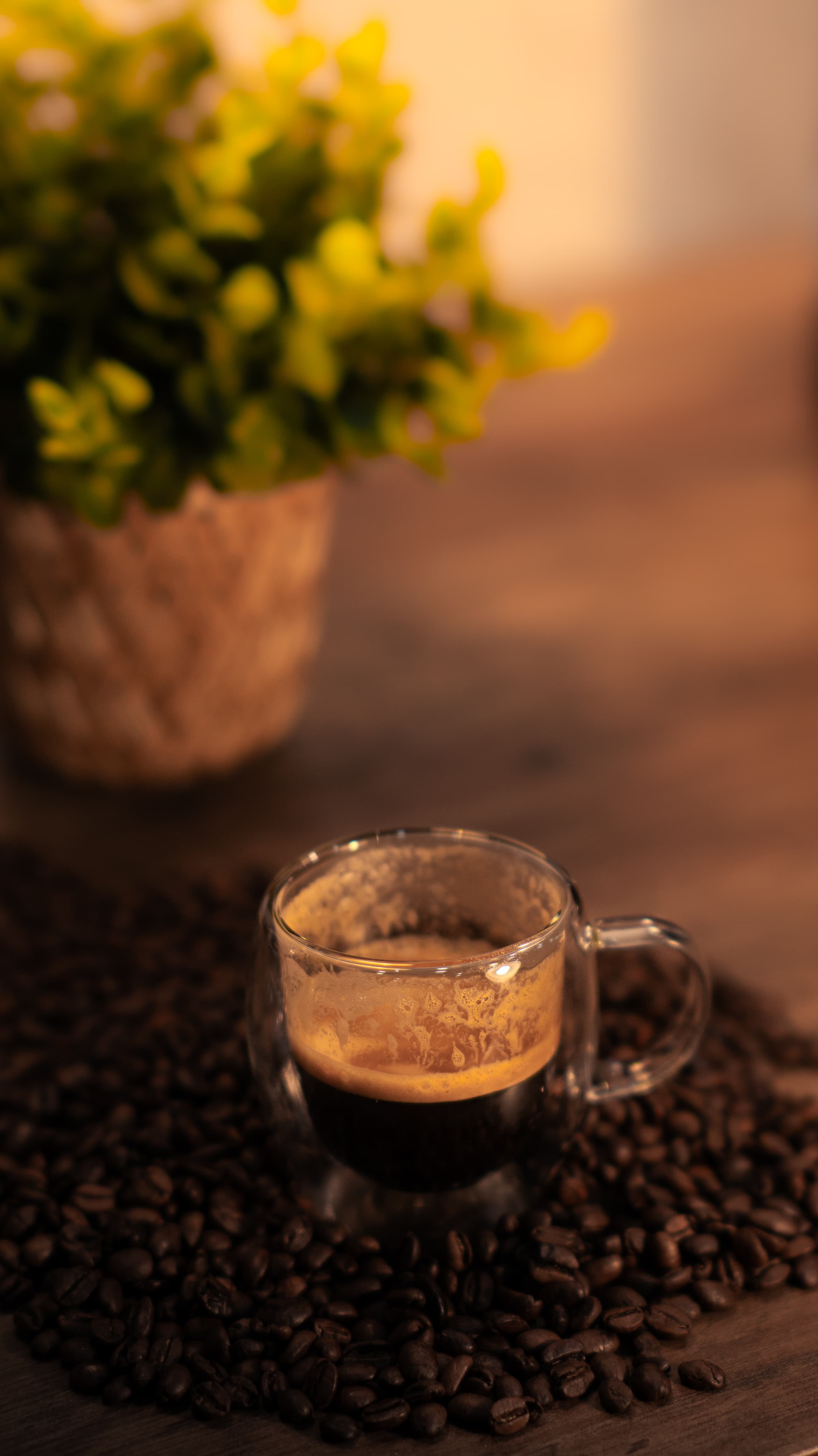Coffee sourcing